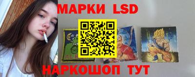 трава Гатчина