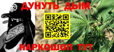 трава Гатчина