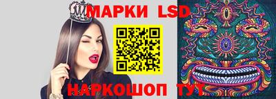 трава Гатчина