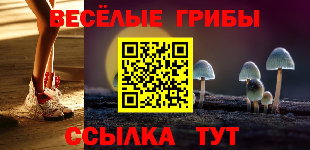 Галлюциногенные грибы Psilocybe  Вход с VPN  Дмитров 
